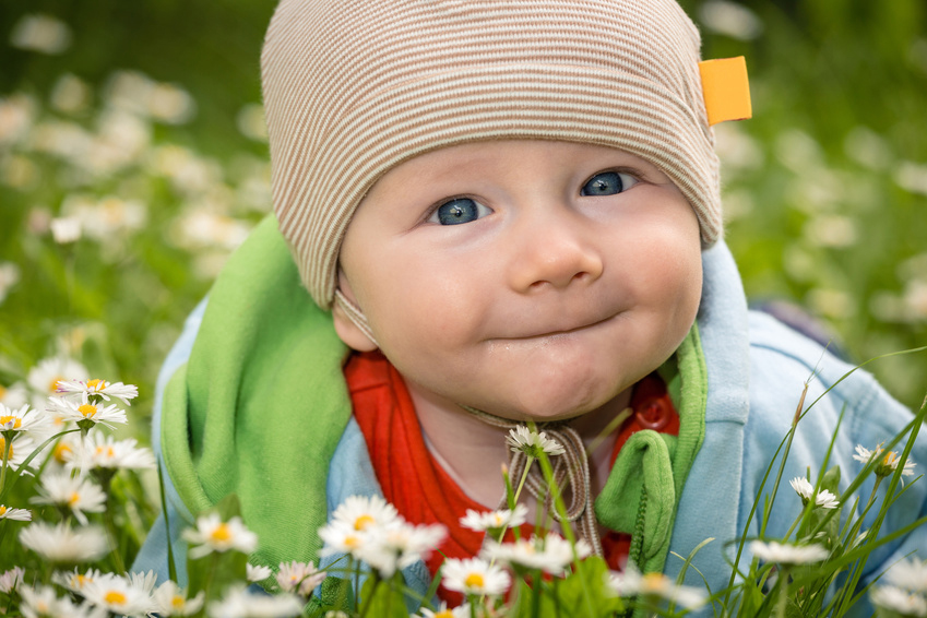 Fotolia_53191695_S_849x566